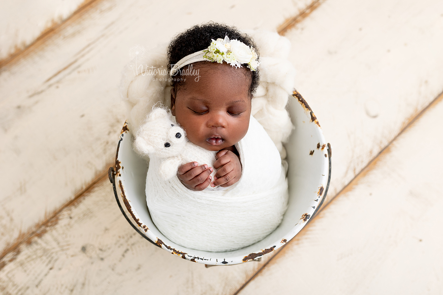 newborn in bucket with teddy