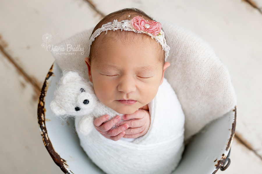 wrapped newborn in bucket with teddy bear newborn photography