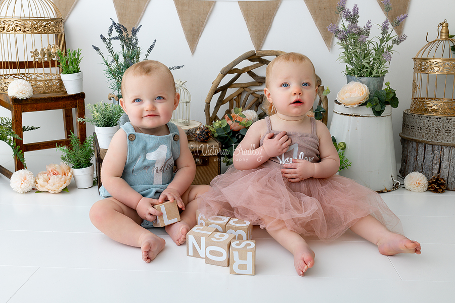 rustic cake smash twins