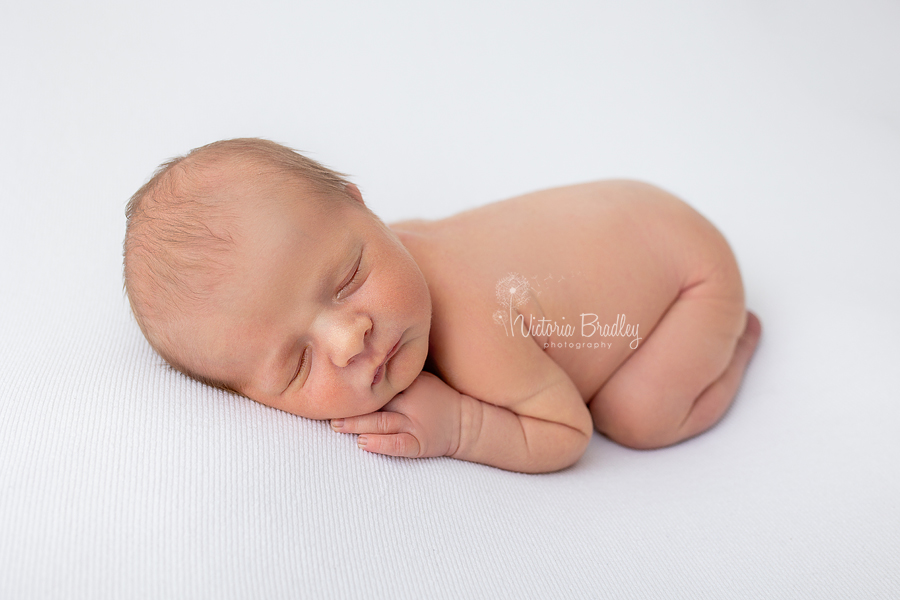 newborn on tummy pose