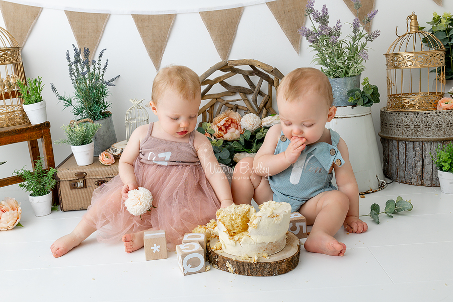 rustic cake smash twins