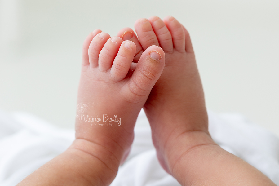 macro of newborn toes