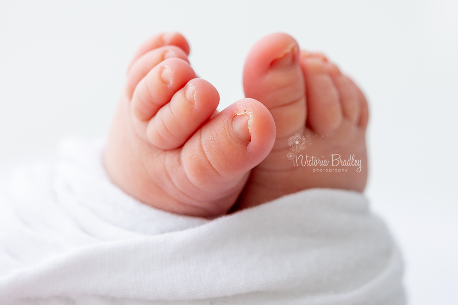 macro of baby toes