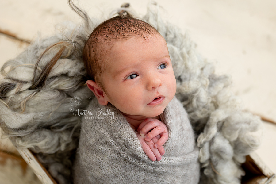 wrapped newborn in grey