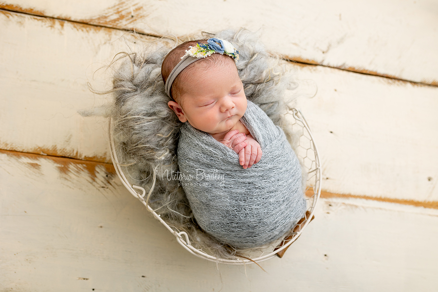 wrapped baby newborn girl in grey photography 