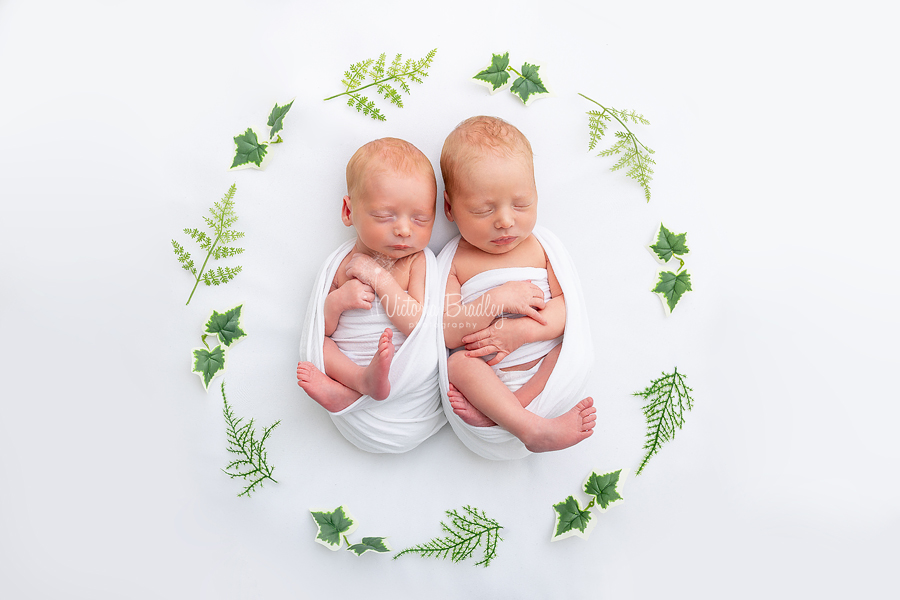 baby newborn twins on white