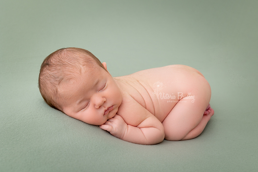 newborn on sage green backdrop