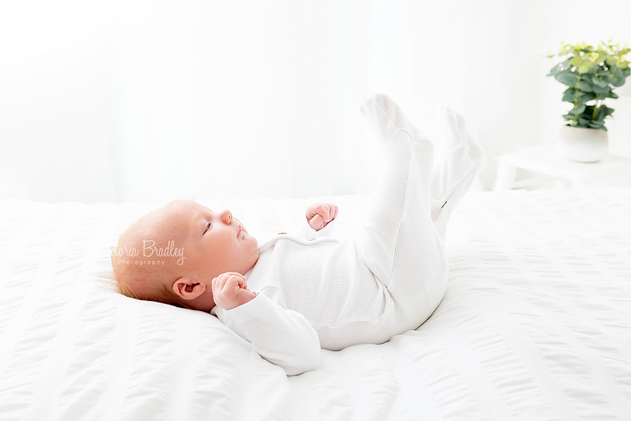 pure newborn mini session