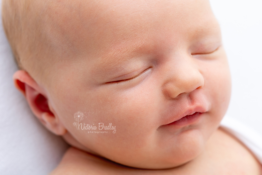 12 day old newborn session