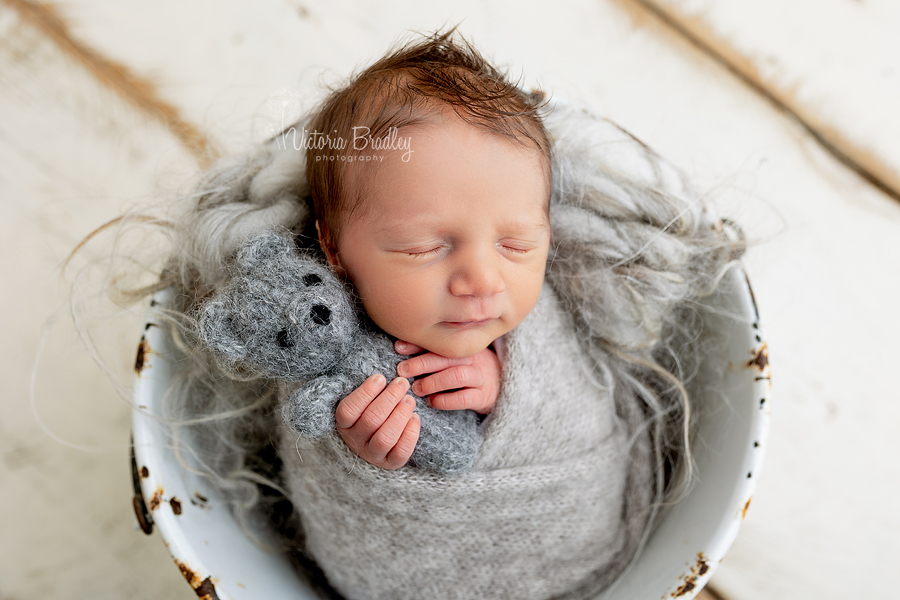 wrapped newborn in grey with teddy