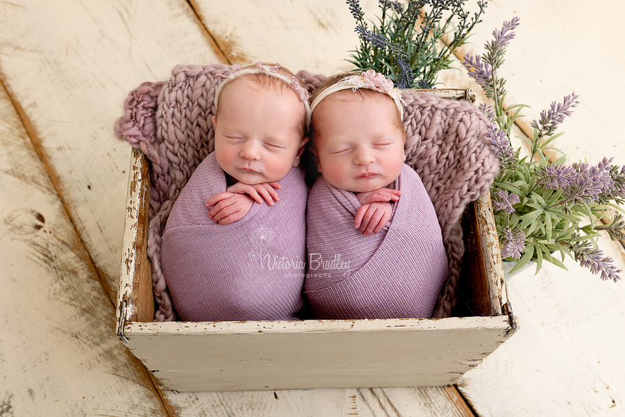 Twin newborn sisters