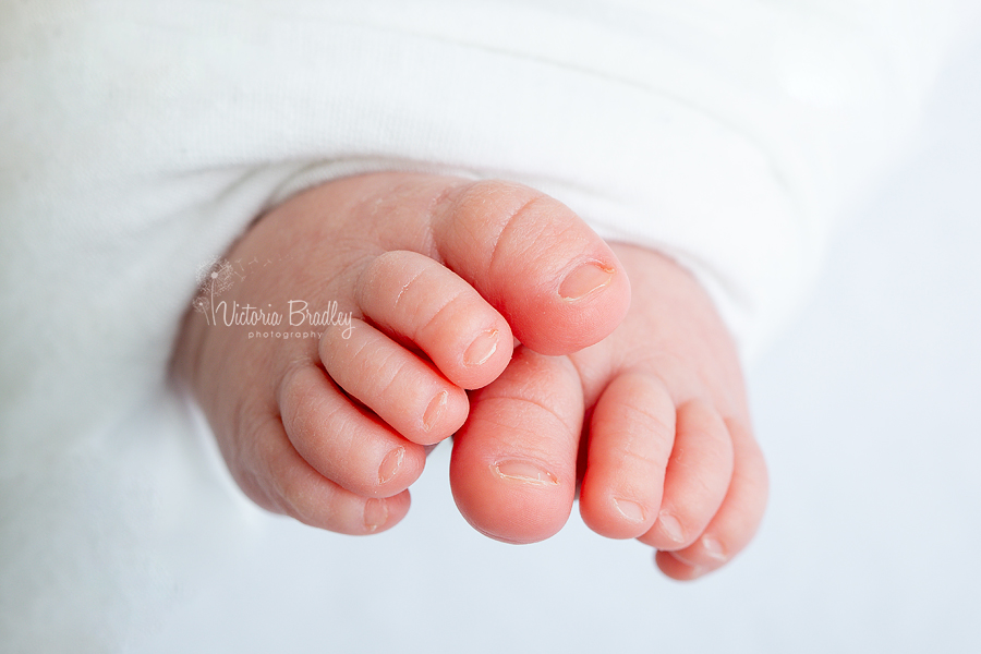 10 Day Old Newborn toes